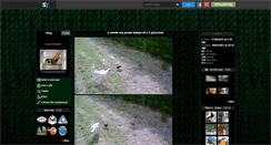 Desktop Screenshot of coqcombatant28100.skyrock.com