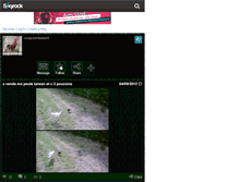 Tablet Screenshot of coqcombatant28100.skyrock.com