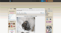 Desktop Screenshot of laramachichi.skyrock.com