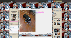 Desktop Screenshot of bouledogue-francais-83.skyrock.com