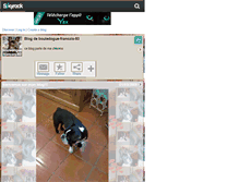 Tablet Screenshot of bouledogue-francais-83.skyrock.com