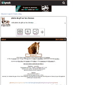 Tablet Screenshot of gif-cheval.skyrock.com