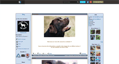 Desktop Screenshot of labrador-choc.skyrock.com