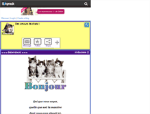 Tablet Screenshot of catsstory.skyrock.com