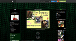 Desktop Screenshot of concour-de-boxer.skyrock.com