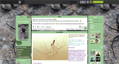 Desktop Screenshot of epeire-0601-67.skyrock.com