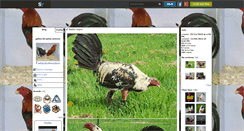 Desktop Screenshot of gallos-de-pelea-antonio.skyrock.com