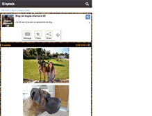 Tablet Screenshot of dogue-allemand-29.skyrock.com