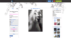 Desktop Screenshot of matos-cheval-pas-cher-12.skyrock.com