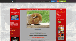 Desktop Screenshot of cochon-dinde-us-teddy.skyrock.com