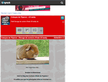 Tablet Screenshot of cochon-dinde-us-teddy.skyrock.com