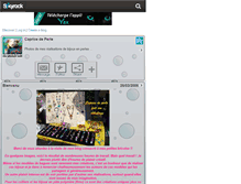 Tablet Screenshot of caprice2perle.skyrock.com