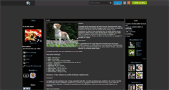 Desktop Screenshot of dogsmylife.skyrock.com