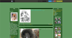 Desktop Screenshot of chow-chou.skyrock.com