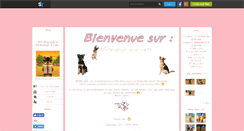 Desktop Screenshot of nintendogs--and--cats.skyrock.com