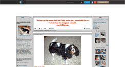 Desktop Screenshot of cavalier-king-charles-59.skyrock.com