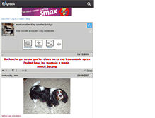 Tablet Screenshot of cavalier-king-charles-59.skyrock.com