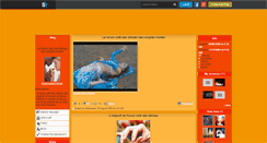 Desktop Screenshot of forumcouplesmixtes.skyrock.com