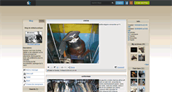 Desktop Screenshot of militaria-antique.skyrock.com