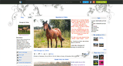 Desktop Screenshot of elevageduchene.skyrock.com