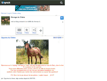 Tablet Screenshot of elevageduchene.skyrock.com
