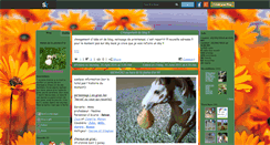 Desktop Screenshot of mirtille-schleich-s.skyrock.com