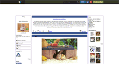 Desktop Screenshot of gerbille-info.skyrock.com