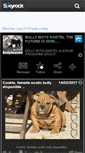 Mobile Screenshot of bullyboyskartel.skyrock.com