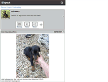 Tablet Screenshot of doberman1.skyrock.com