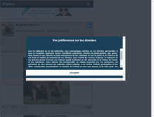 Tablet Screenshot of blueshockbullys.skyrock.com