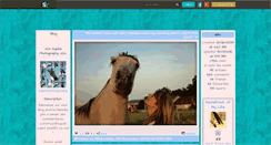 Desktop Screenshot of equine-photography.skyrock.com