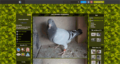 Desktop Screenshot of pigeondam.skyrock.com