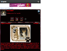 Tablet Screenshot of eros-sheltie57.skyrock.com