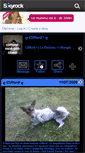 Mobile Screenshot of clifford-mon-ptit-coeur.skyrock.com