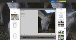 Desktop Screenshot of le-poney.skyrock.com