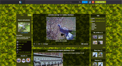 Desktop Screenshot of cedricpalombe.skyrock.com