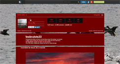 Desktop Screenshot of lesbrulots33.skyrock.com