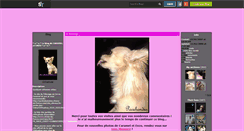 Desktop Screenshot of chihuahuaa.skyrock.com