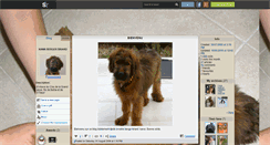 Desktop Screenshot of kawa-briard.skyrock.com