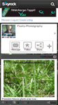 Mobile Screenshot of flashy-photography.skyrock.com