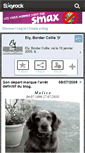 Mobile Screenshot of ely-bordercollie.skyrock.com