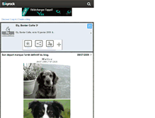 Tablet Screenshot of ely-bordercollie.skyrock.com