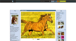 Desktop Screenshot of chevaux--love.skyrock.com