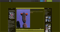 Desktop Screenshot of cactusjo.skyrock.com