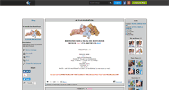 Desktop Screenshot of le-monde-des-boutchoux.skyrock.com