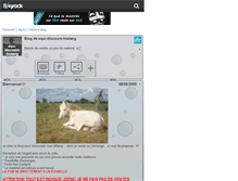 Tablet Screenshot of equi-discount-hisberg.skyrock.com