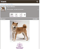 Tablet Screenshot of 400chiens.skyrock.com