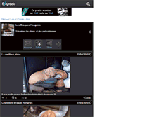 Tablet Screenshot of braque-hongrois.skyrock.com