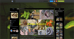 Desktop Screenshot of les--serpent.skyrock.com