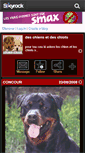 Mobile Screenshot of chien-chiot.skyrock.com